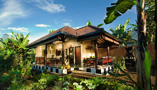 The Organic Farm Bali