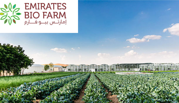 Emirates Bio Farm